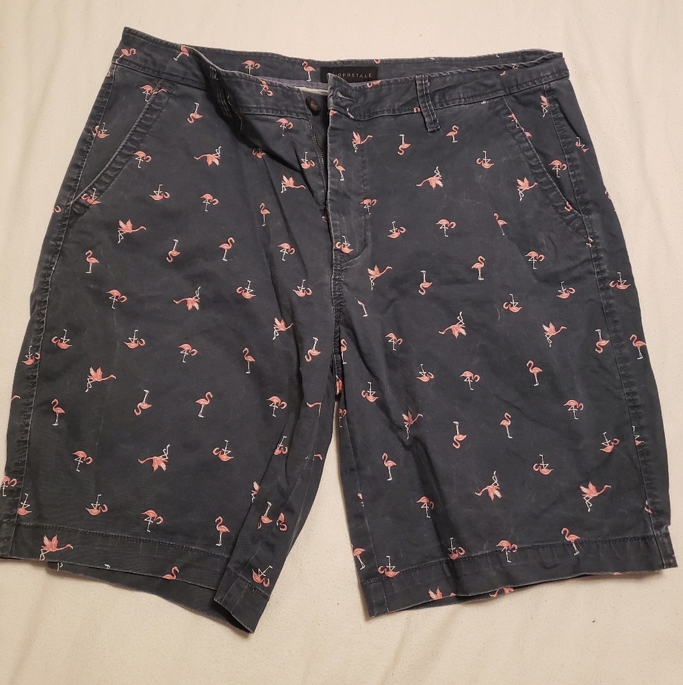 Aeropostale Shorts Size 36 Mens Flamingo